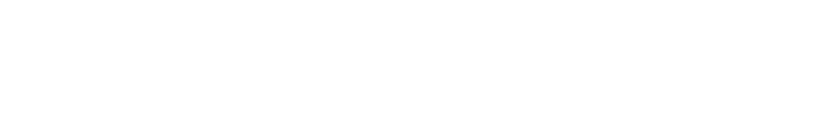 Mein ASS – Ihr professioneller Personaldienstleister